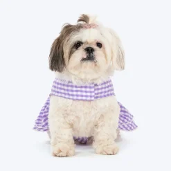 HUFT Go Gingham Dress For Dog - Purple