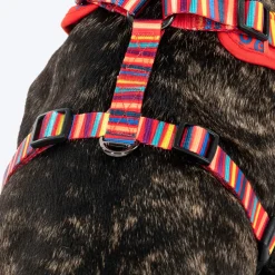 HUFT Good Doggie Adjustable Harness For Dog - Multicolor