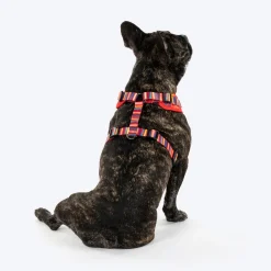 HUFT Good Doggie Adjustable Harness For Dog - Multicolor