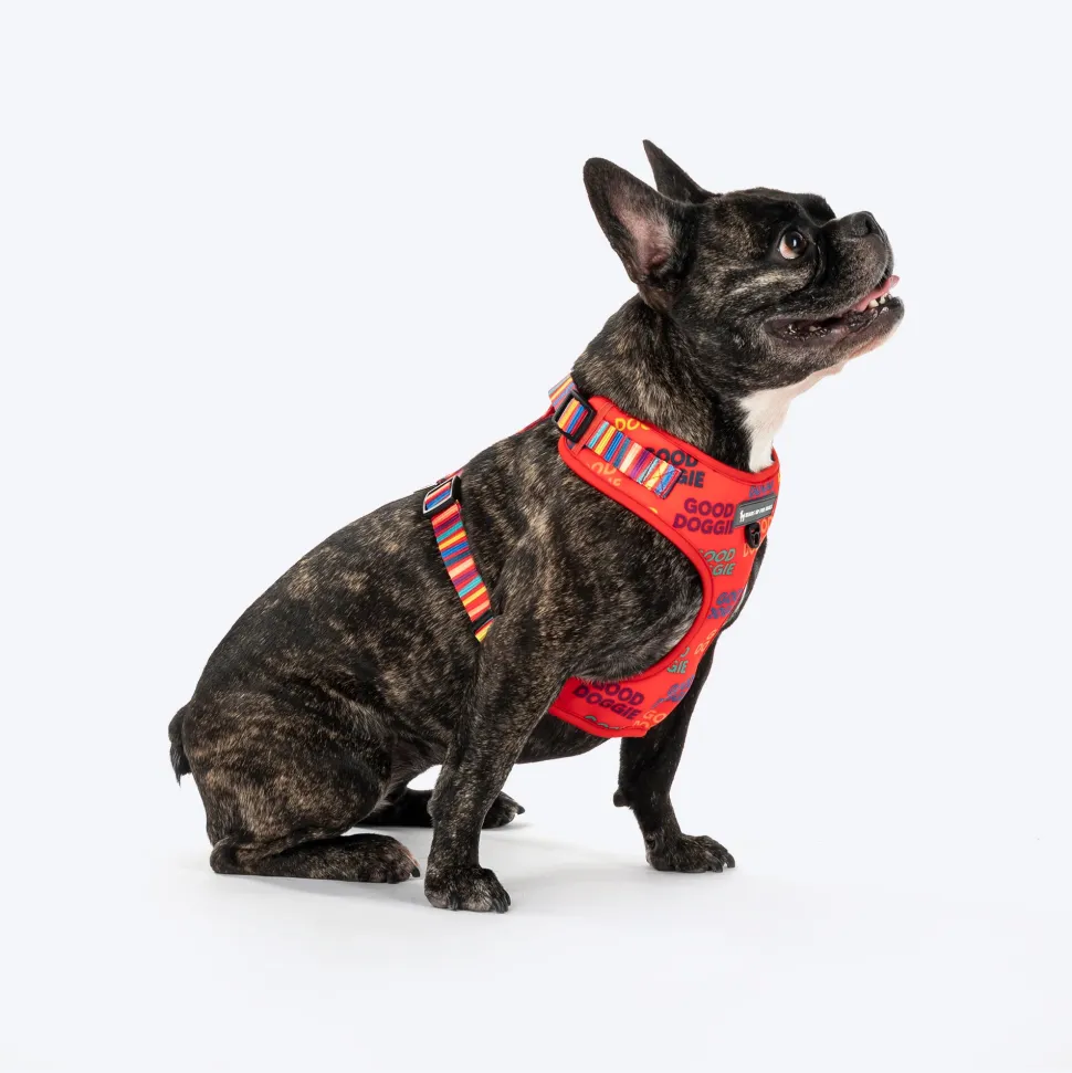 HUFT Good Doggie Adjustable Harness For Dog - Multicolor