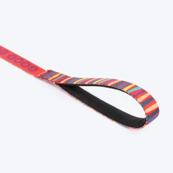 HUFT Good Doggie Leash For Dog - Multicolor