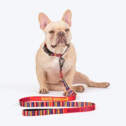 HUFT Good Doggie Leash For Dog - Multicolor