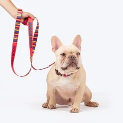 HUFT Good Doggie Leash For Dog - Multicolor
