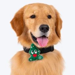 HUFT Goofy Xmas Tree Dog Collar Insert (Green)