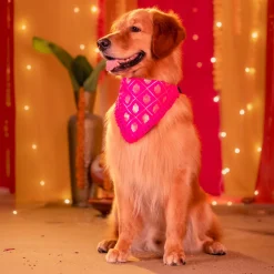 HUFT Gulabi Glow Bandana For Dog - Pink