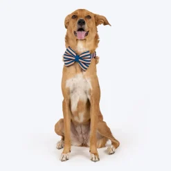 HUFT Happy Stripes Bow Tie With Collar For Dog - Blue & Peach