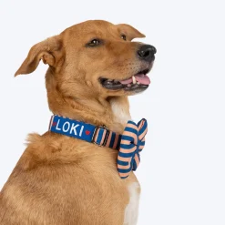 HUFT Happy Stripes Bow Tie With Collar For Dog - Blue & Peach