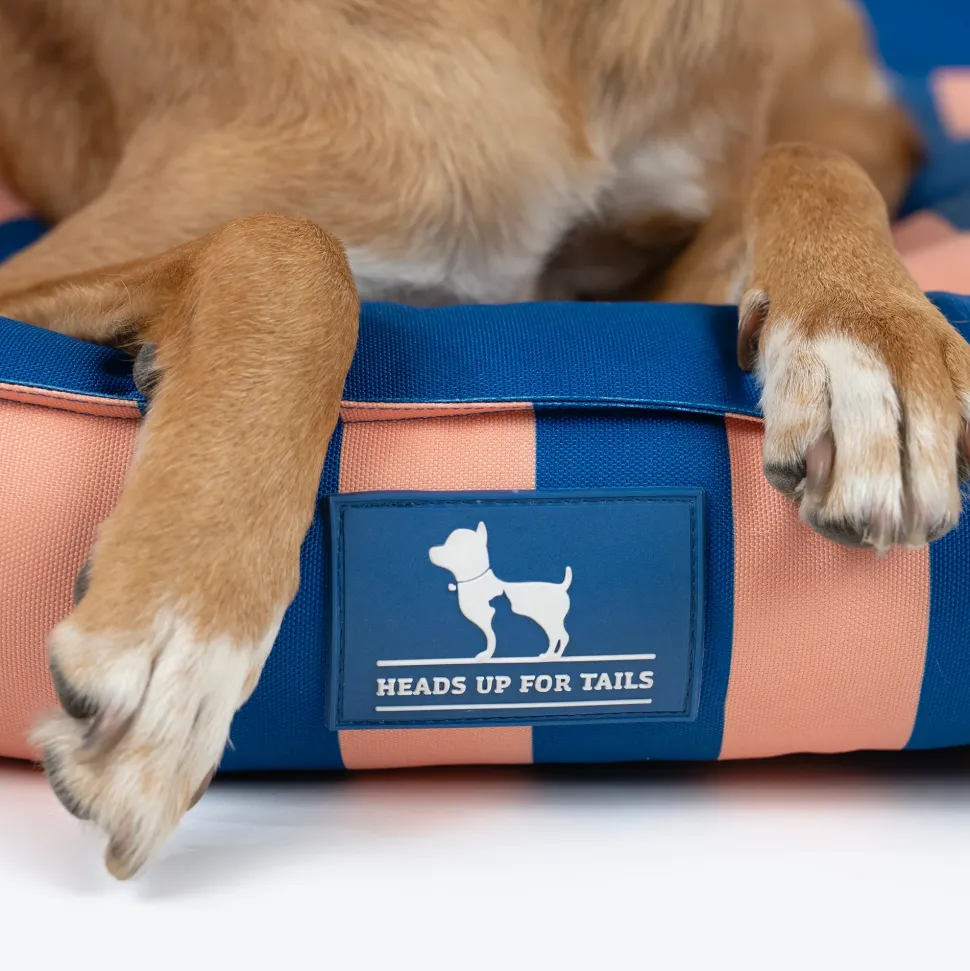 HUFT Happy Stripes Lounger Bed For Dog - Navy & Peach