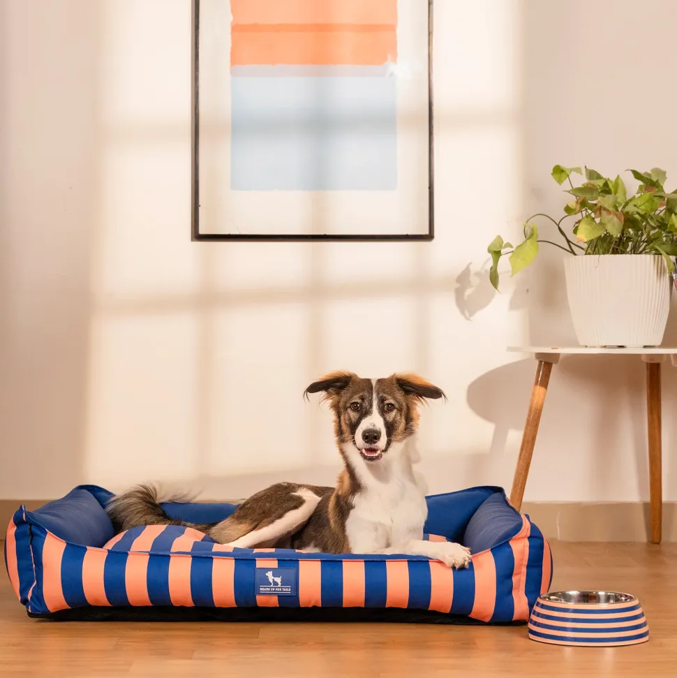 HUFT Happy Stripes Lounger Bed For Dog - Navy & Peach