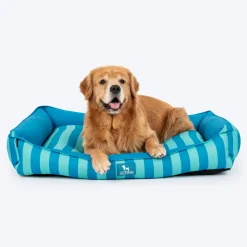 HUFT Happy Stripes Lounger Bed For Dog - Blue & Turquoise