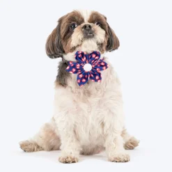 HUFT Heartpop Printed Bow Tie With Strap For Dog - Blue