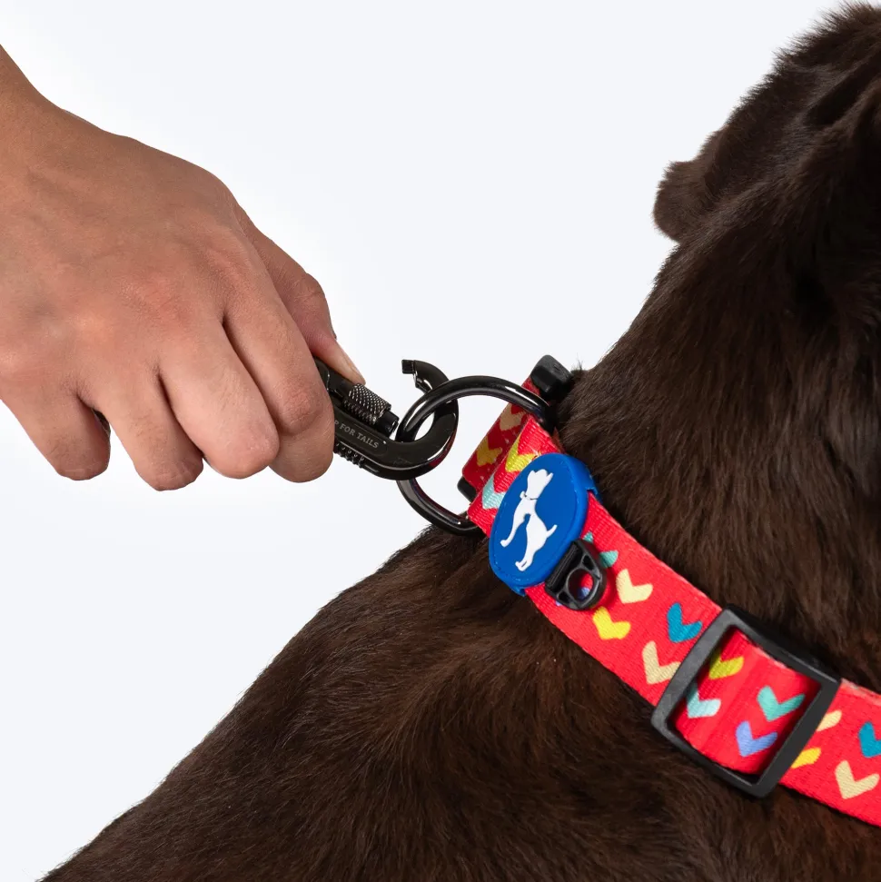 HUFT Heart to Heart Leash For Dog - Red