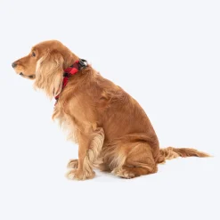 HUFT Holly Jolly Bandana For Dog - Red & Black