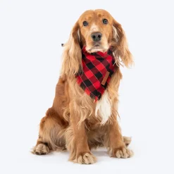 HUFT Holly Jolly Bandana For Dog - Red & Black