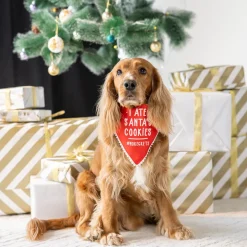 HUFT I Ate Santa's Cookies Bandana For Dog - Red