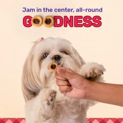 HUFT Jammies - Chicken Filled With Mixed Fruit Jam Dog Treats - 100 g