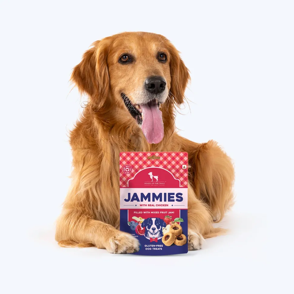 HUFT Jammies - Chicken Filled With Mixed Fruit Jam Dog Treats - 100 g