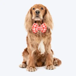 HUFT Jingle Hearts Collar With Bow Tie For Dog - Red & White