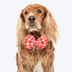 HUFT Jingle Hearts Collar With Bow Tie For Dog - Red & White
