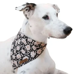 HUFT Jungle Collection Savanna's Dazzle Reversible Dog Bandana
