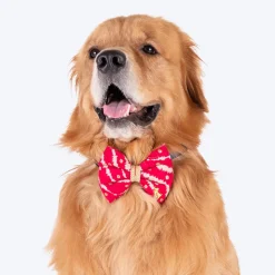 HUFT Leheriya Luxe Bowtie For Dog - Pink - L