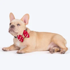 HUFT Leheriya Luxe Bowtie For Small Breed Dog - Pink - S