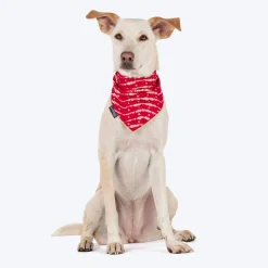 HUFT Leheriya Luxe Knot Bandana For Dog - Pink