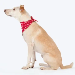 HUFT Leheriya Luxe Knot Bandana For Dog - Pink