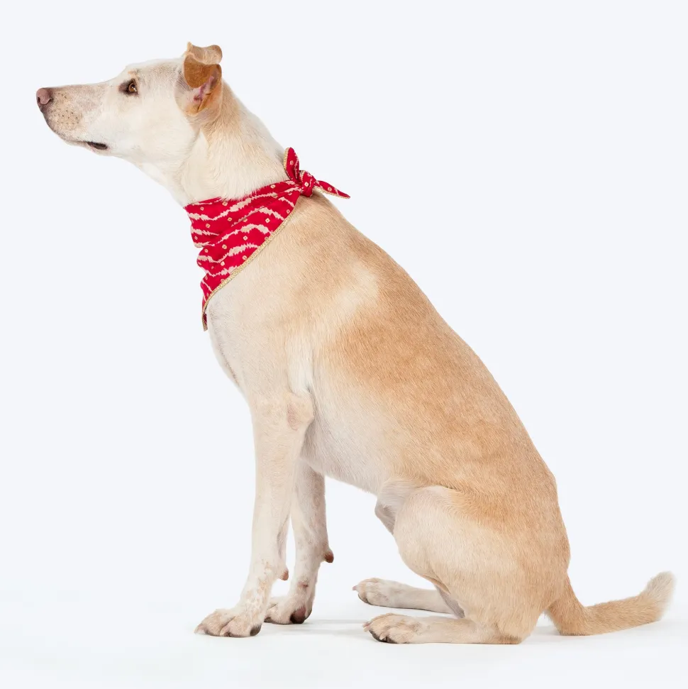HUFT Leheriya Luxe Knot Bandana For Dog - Pink