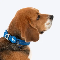 HUFT Love Pawtector Collar Insert For Dog & Cat - Blue