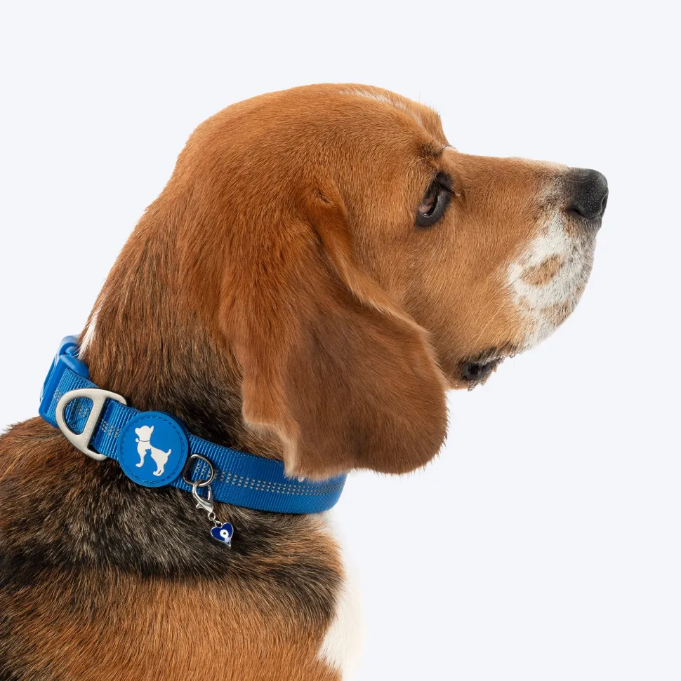 HUFT Love Pawtector Collar Insert For Dog & Cat - Blue