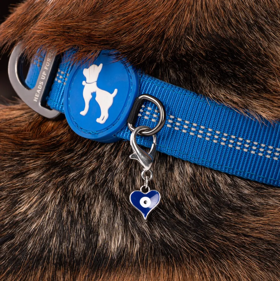 HUFT Love Pawtector Collar Insert For Dog & Cat - Blue