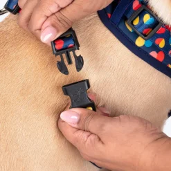 HUFT Love Struck Adjustable Harness For Dog - Navy