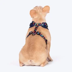 HUFT Love Struck Adjustable Harness For Dog - Navy