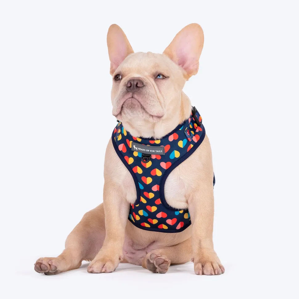 HUFT Love Struck Adjustable Harness For Dog - Navy