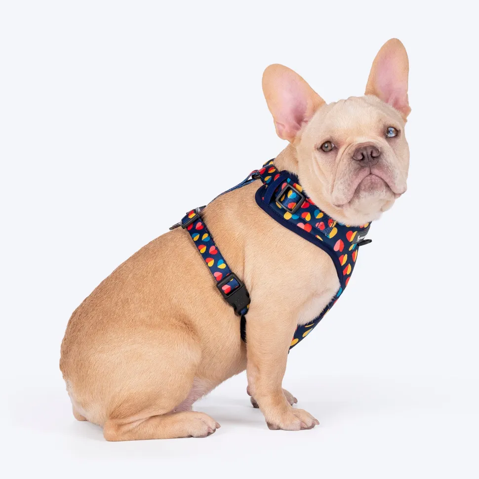 HUFT Love Struck Adjustable Harness For Dog - Navy