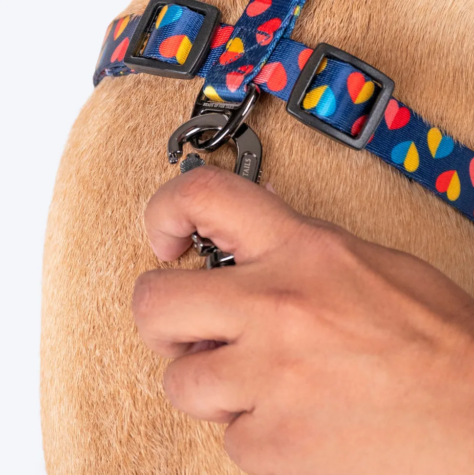 HUFT Love Struck Adjustable Harness For Dog - Navy