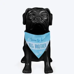 HUFT Made to Order Soon To Be Big Brother / Sister Printed Dog Bandana