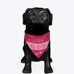 HUFT Made to Order Soon To Be Big Brother / Sister Printed Dog Bandana