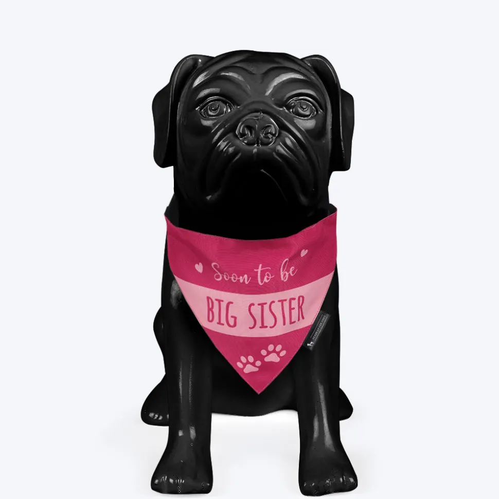 HUFT Made to Order Soon To Be Big Brother / Sister Printed Dog Bandana