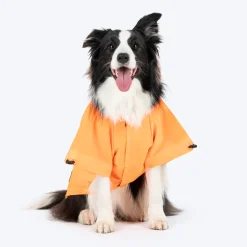 HUFT Magical Mist Raincoat With Harness Opening For Dog - Orange
