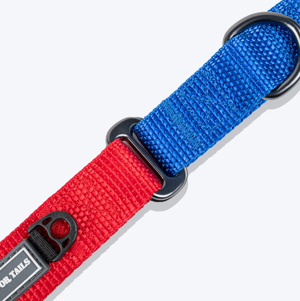 HUFT Martingale Collar For Dog - Crimson Red & Cobalt Blue