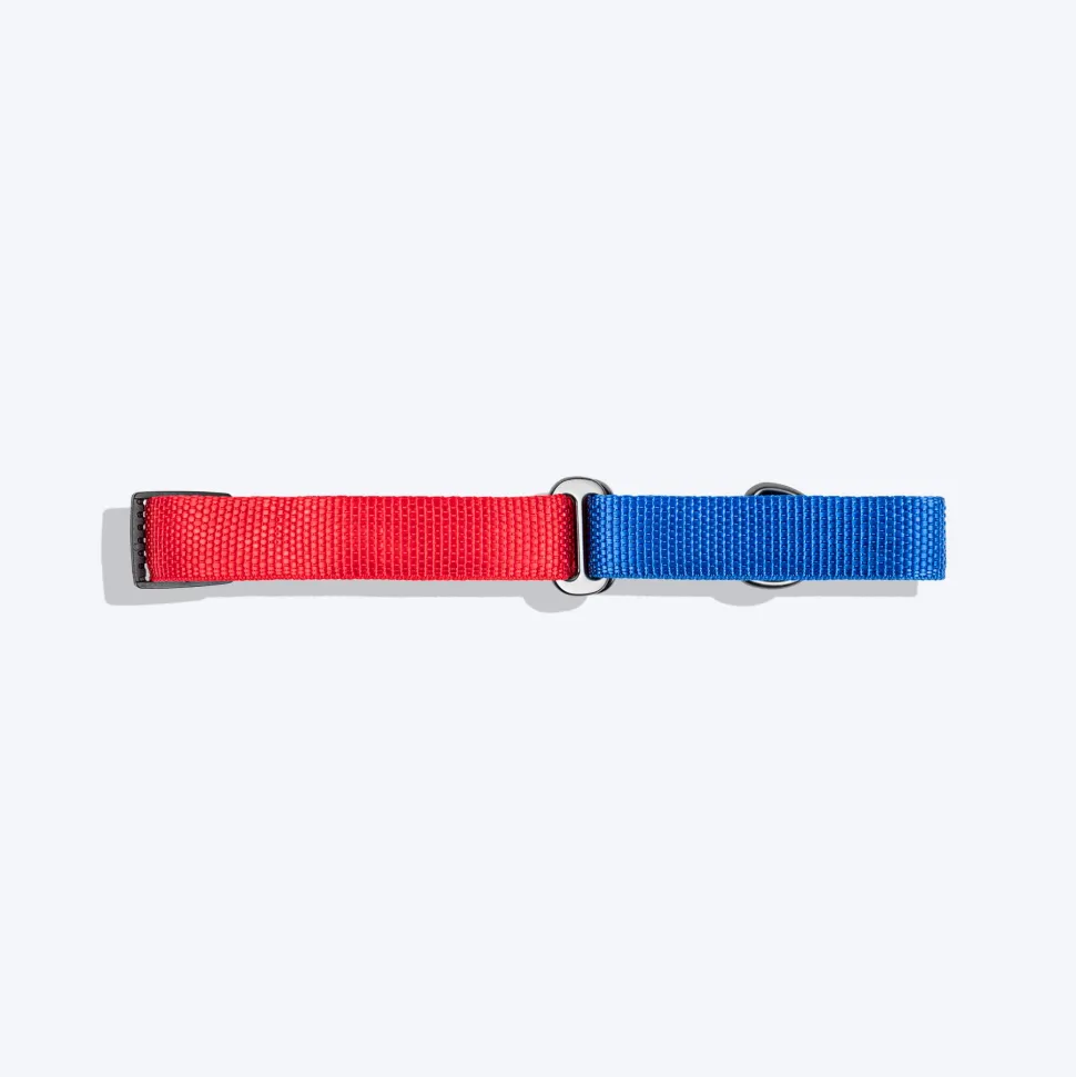 HUFT Martingale Collar For Dog - Crimson Red & Cobalt Blue