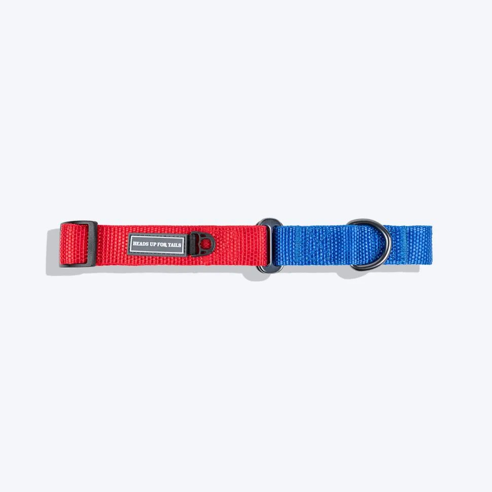 HUFT Martingale Collar For Dog - Crimson Red & Cobalt Blue