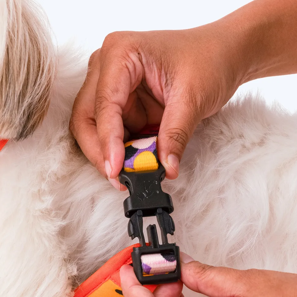 HUFT Misfit Meadow Adjustable Dog Harness - Purple