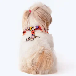 HUFT Misfit Meadow Adjustable Dog Harness - Purple