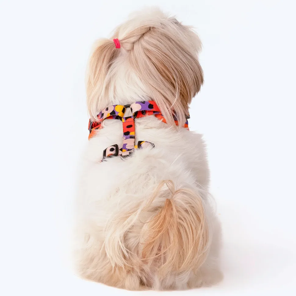HUFT Misfit Meadow Adjustable Dog Harness - Purple
