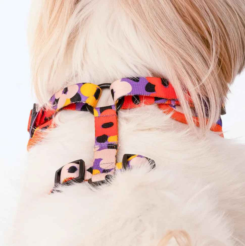 HUFT Misfit Meadow Adjustable Dog Harness - Purple