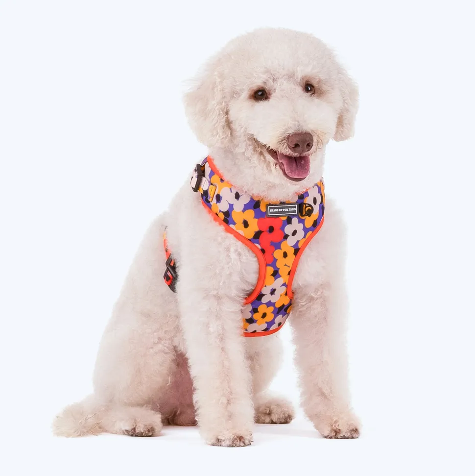 HUFT Misfit Meadow Adjustable Dog Harness - Purple