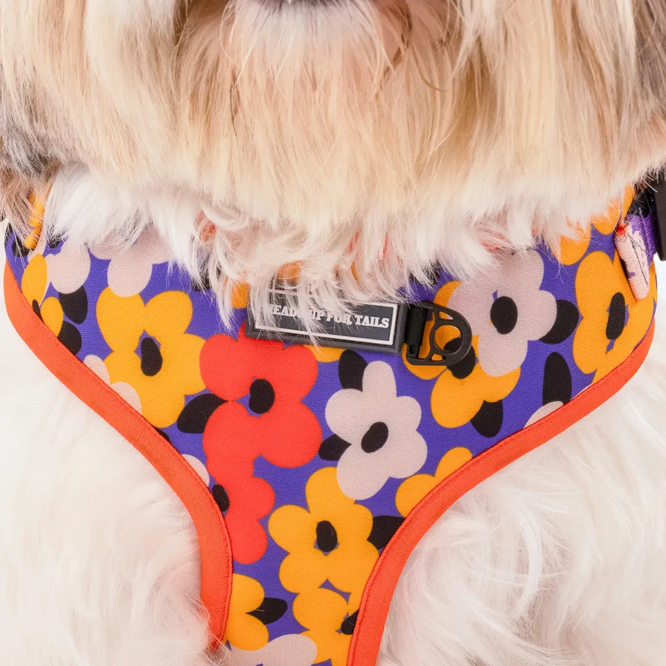 HUFT Misfit Meadow Adjustable Dog Harness - Purple